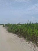 閔行浦江10畝露天場(chǎng)地出租適合停車物流鋼管堆放